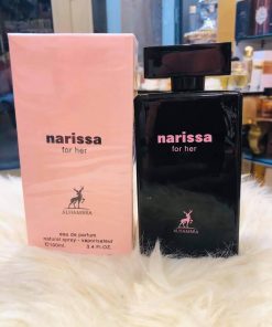 Alternative view of NARISSA