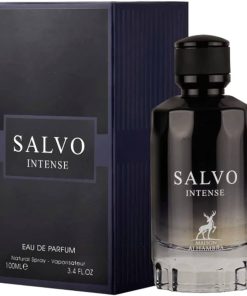 Alternative view of SALVO