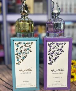 Alternative view of ANDALEEB