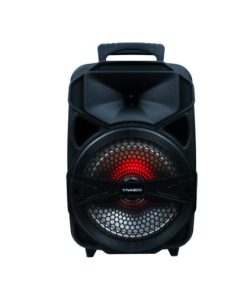 Nasco 100W Karaoke Speaker (H-50)