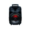 Nasco 20W Karaoke Speaker (NASD-200)