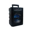 Nasco 30W Karaoke Speaker (NASD-300)