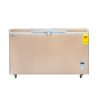 Nasco 425L Chest Freezer (NAS-500FL-DD)