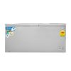 Nasco 478L Chest Freezer (NAS-600)
