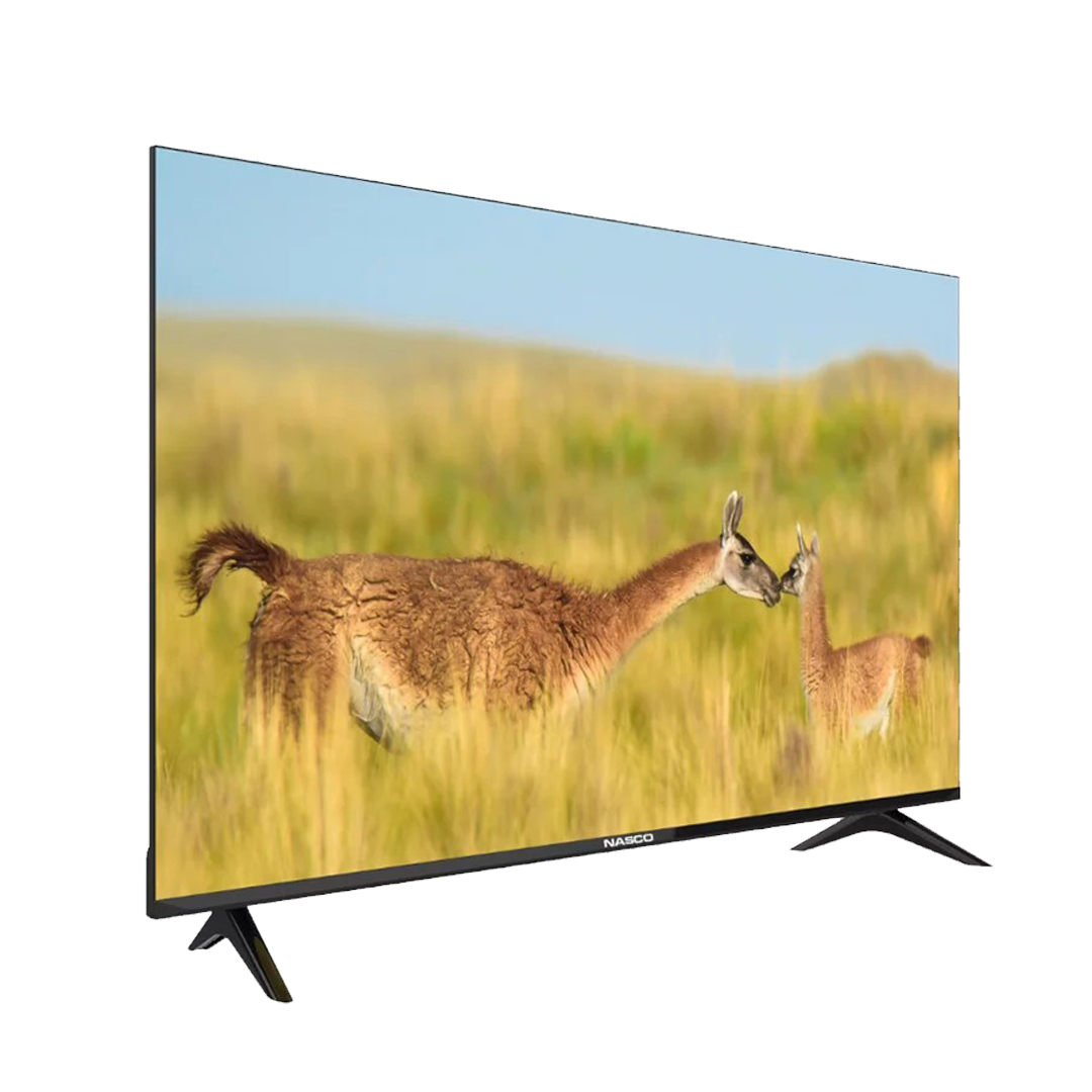 Nasco 50" LED TV (NAS-J50FBFL) - view 3
