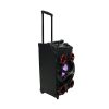 Nasco 130W Portable Speaker (NS-AUD-H50)