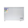 Nasco 318L Chest Freezer (NAS-425FL)