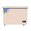 Nasco 318L Chest Freezer (NAS-425FL-G)