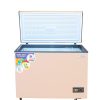 Nasco 318L Chest Freezer (NAS-425FL-G) - view 4