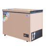 Nasco 318L Chest Freezer (NAS-425FL-G) - view 3