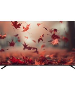 Nasco 32" LED TV (NAS-B32FBFL)