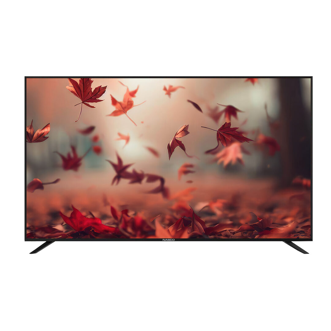Nasco 32" LED TV (NAS-B32FBFL)